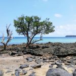 Tourisme_concepts_touristiques_développement_Mayotte